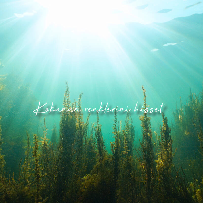 Deep Fresh Çubuklu Oda Kokusu Deniz Yosunu 100 ml Deep Fresh Çubuklu Oda Kokusu Deniz Yosunu 100 ml